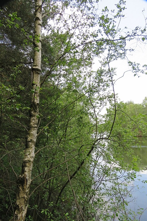 VM0615_152.JPG