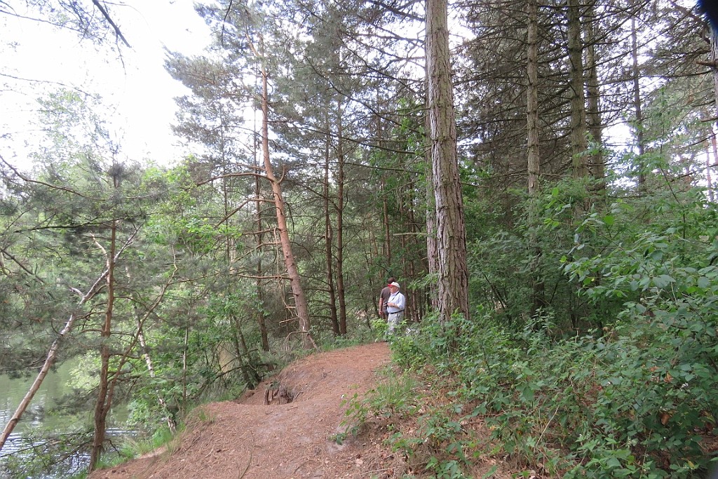 VM0615_154.JPG