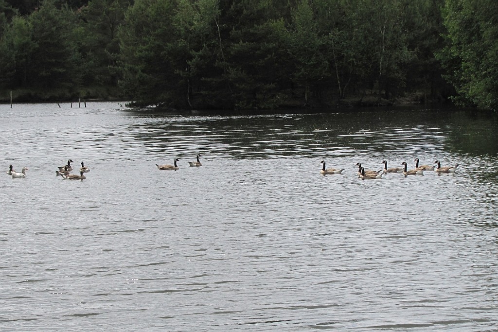 VM0615_170.JPG