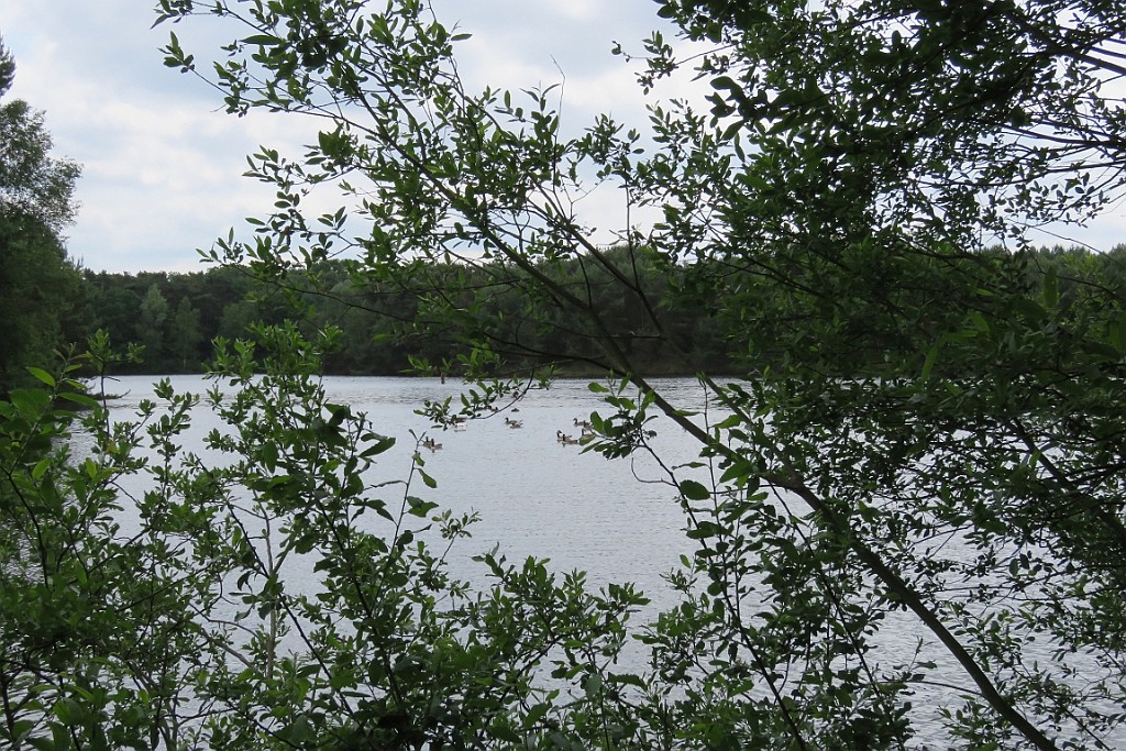 VM0615_174.JPG