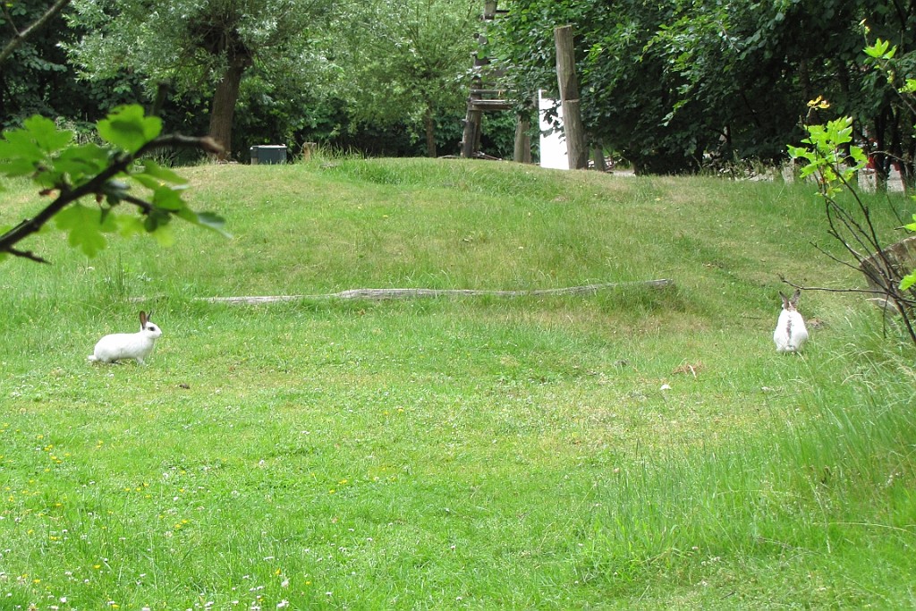 VM0615_178.JPG