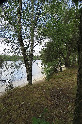VM0615_076