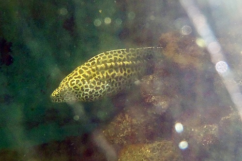 VM0615_110