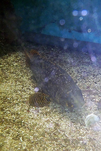 VM0615_111