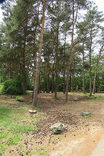 VM0615_116