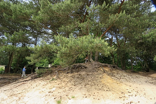 VM0615_125