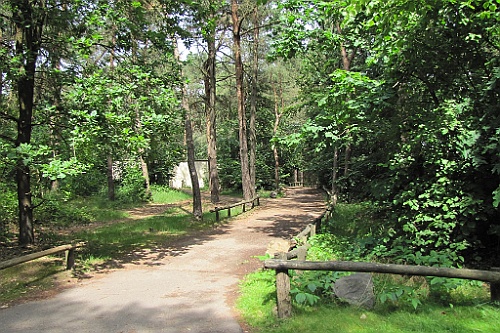 VM0615_160