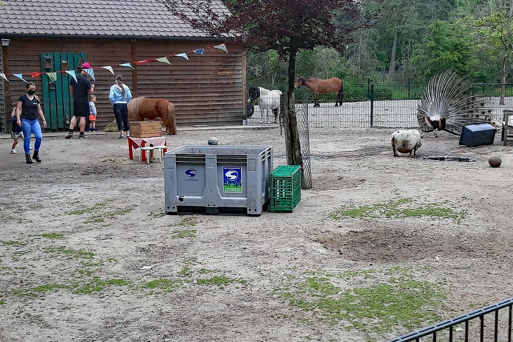 CPVM0621 (25).jpg