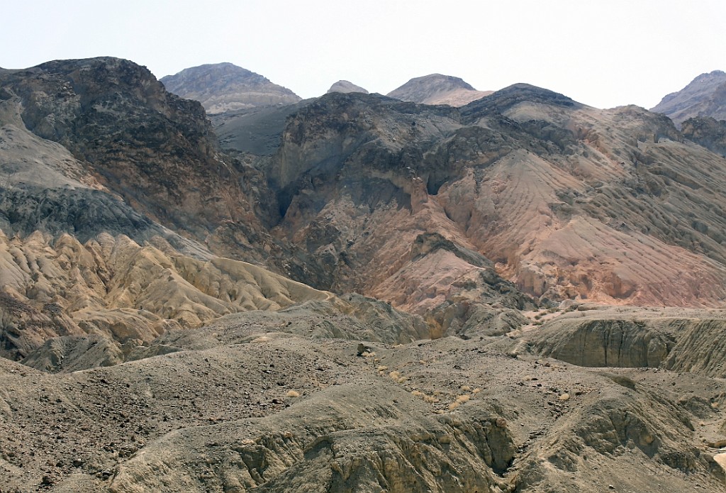 WeCo0430.jpg