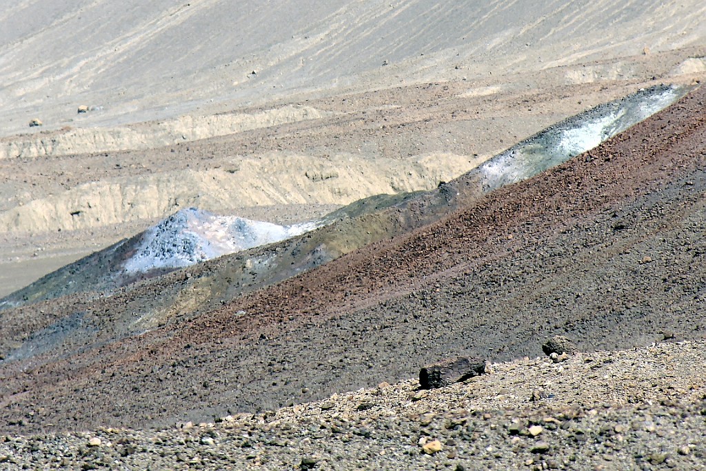WeCo0431.jpg