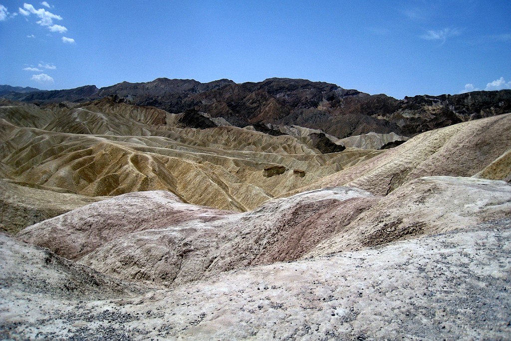 WeCo0444.jpg