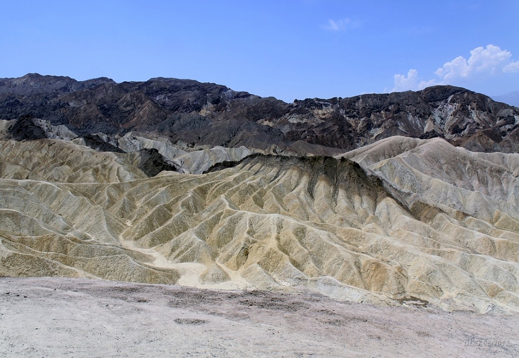 WeCo0448.jpg