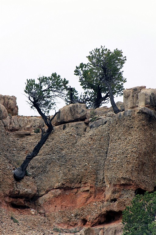 WeCo0565.jpg