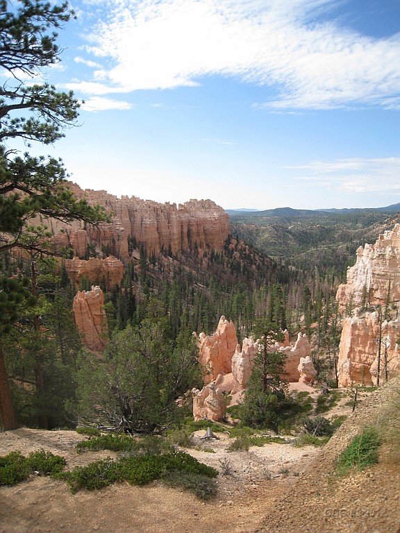 WeCo0588.jpg