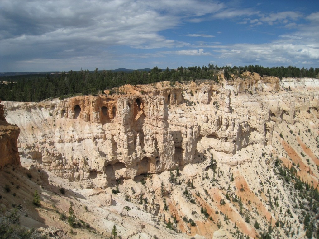 WeCo0652.jpg
