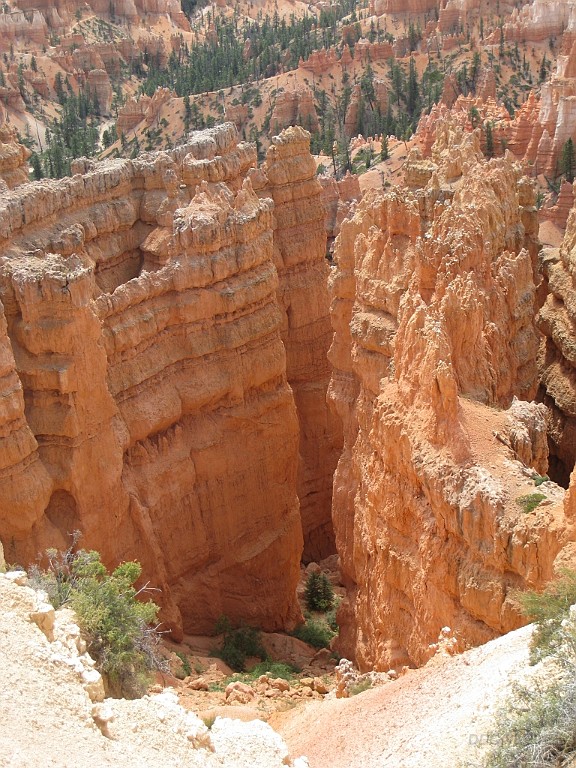 WeCo0690.jpg