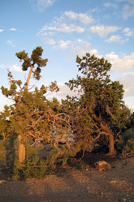 WeCo0894.jpg