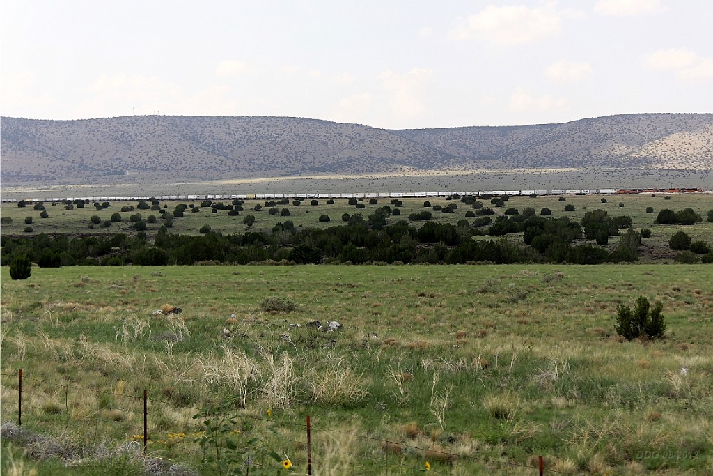 WeCo0978.jpg