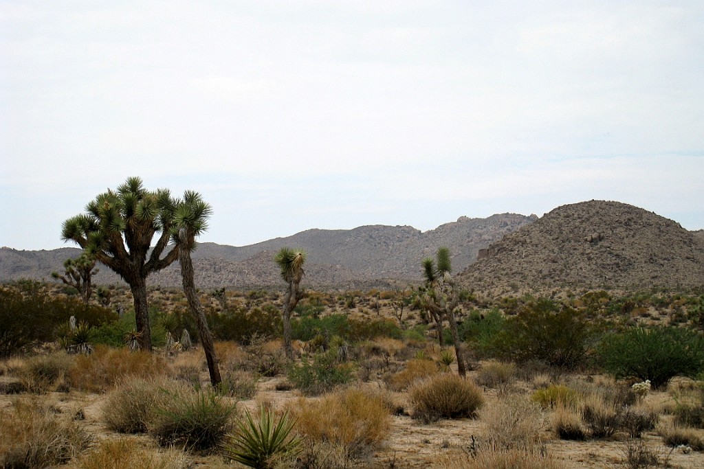WeCo0985.jpg