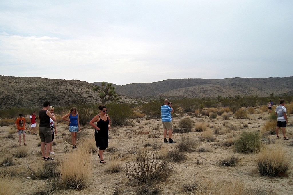 WeCo0990.jpg