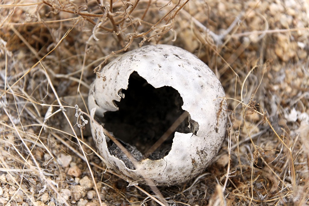 WeCo0992.jpg