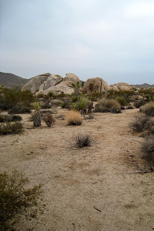 WeCo0997.jpg