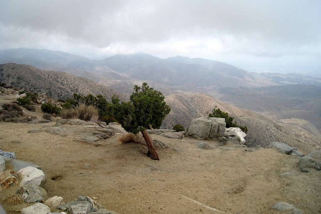 WeCo1031.jpg