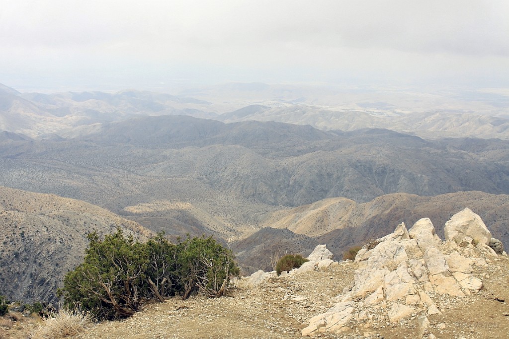 WeCo1039.jpg