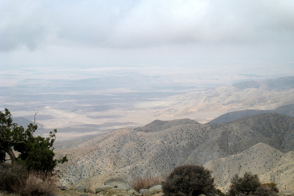 WeCo1042.jpg