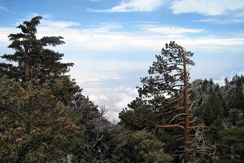 WeCo1057.jpg
