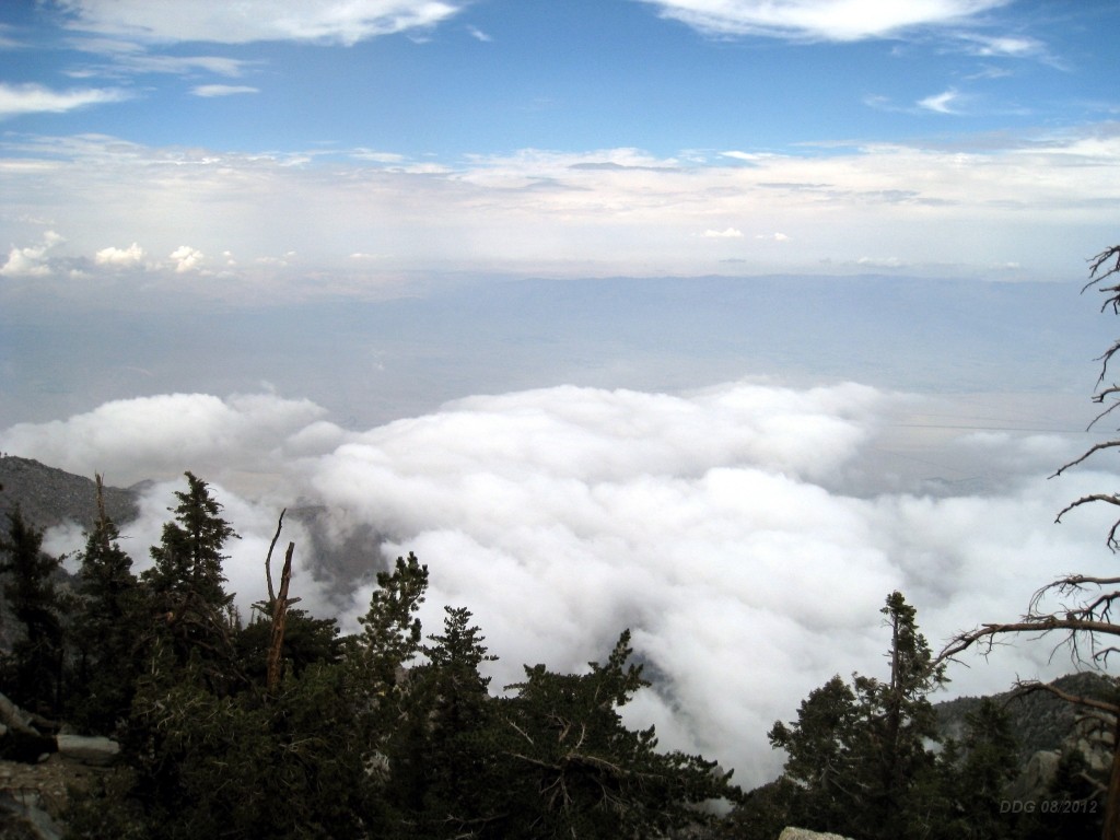 WeCo1058.jpg