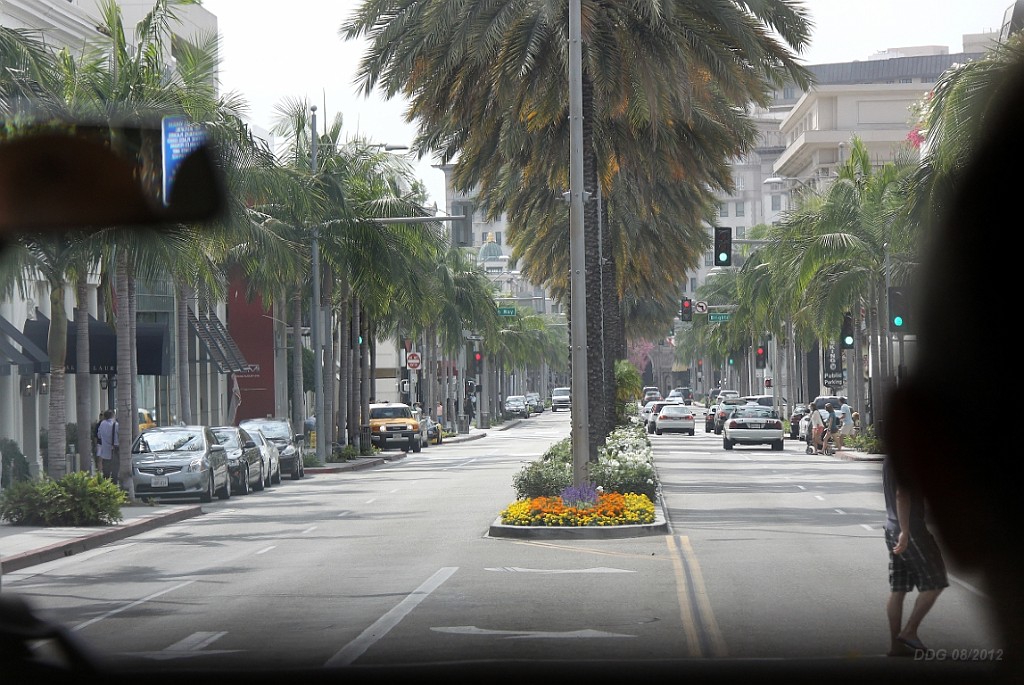 WeCo1081.jpg - Rodeo Drive