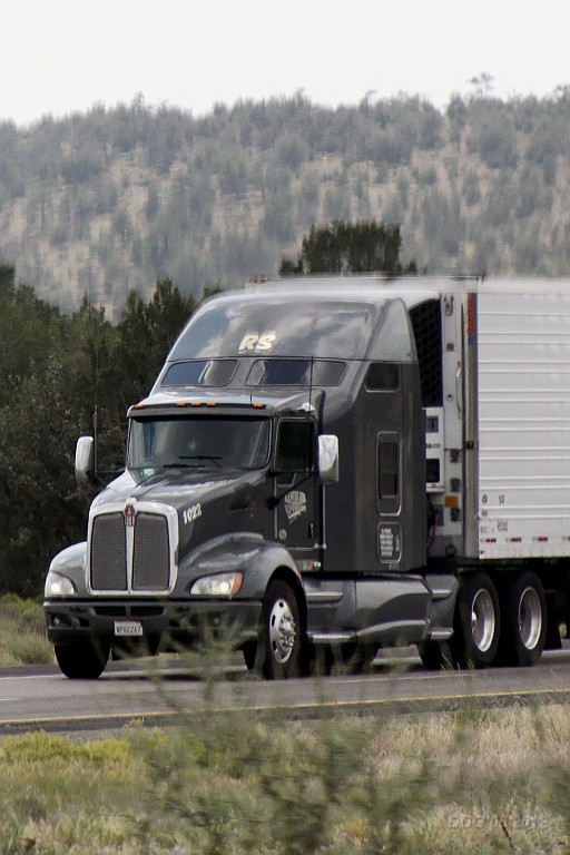 WeCo1261.jpg