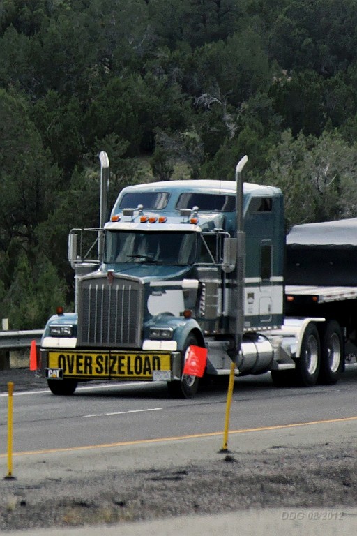 WeCo1264.jpg