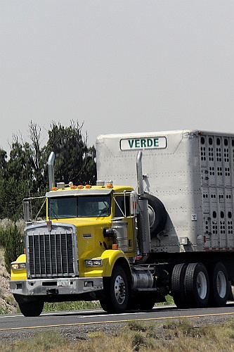 WeCo1251