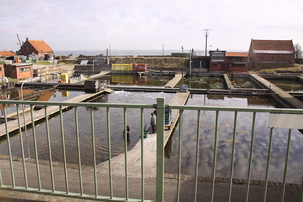 Zeeuws19.JPG