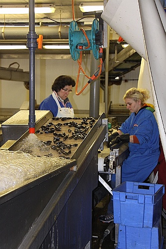 Zeeuws15