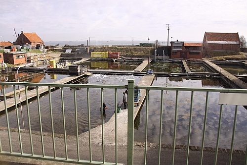 Zeeuws19