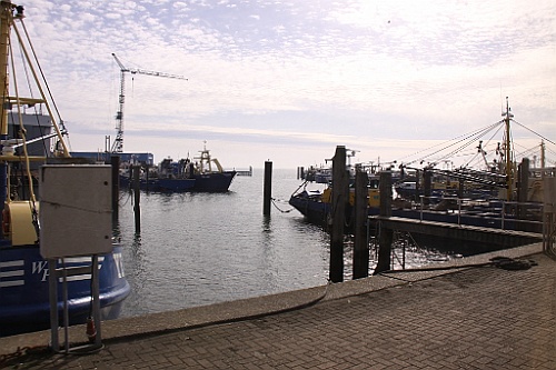 Zeeuws23