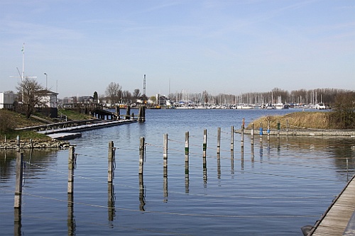 Zeeuws31