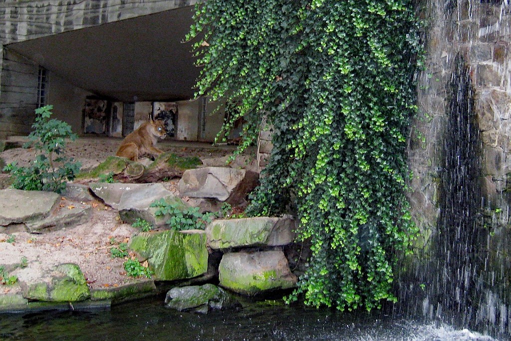 Zoo01.JPG