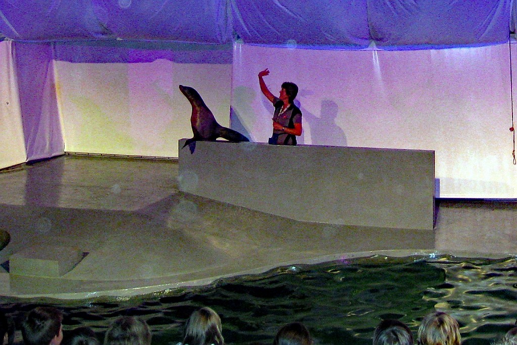 Zoo03.JPG