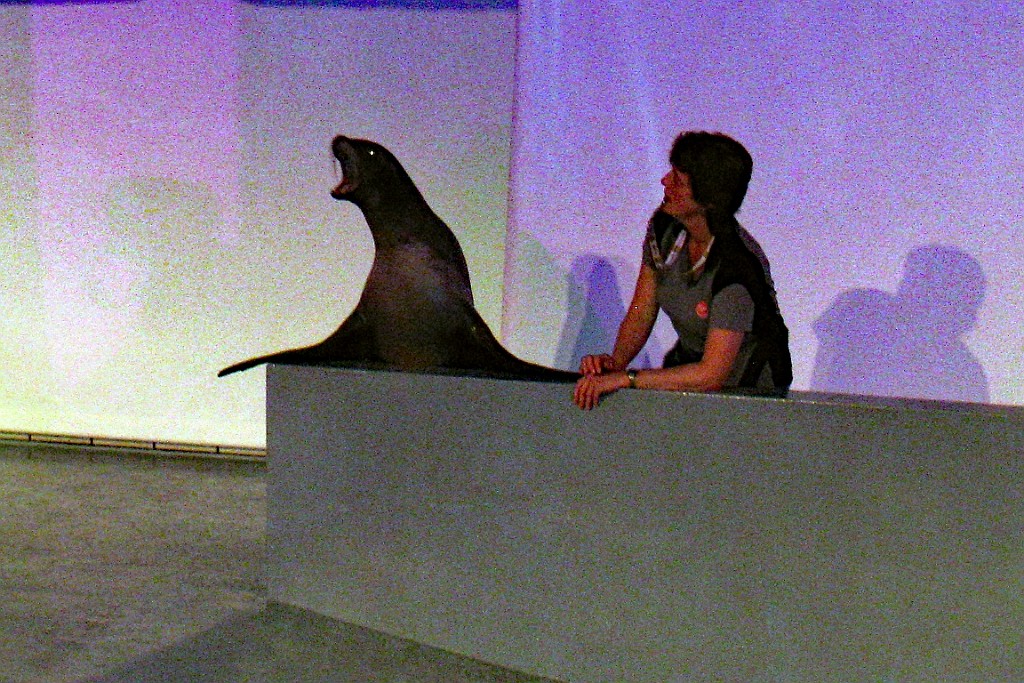 Zoo04.JPG