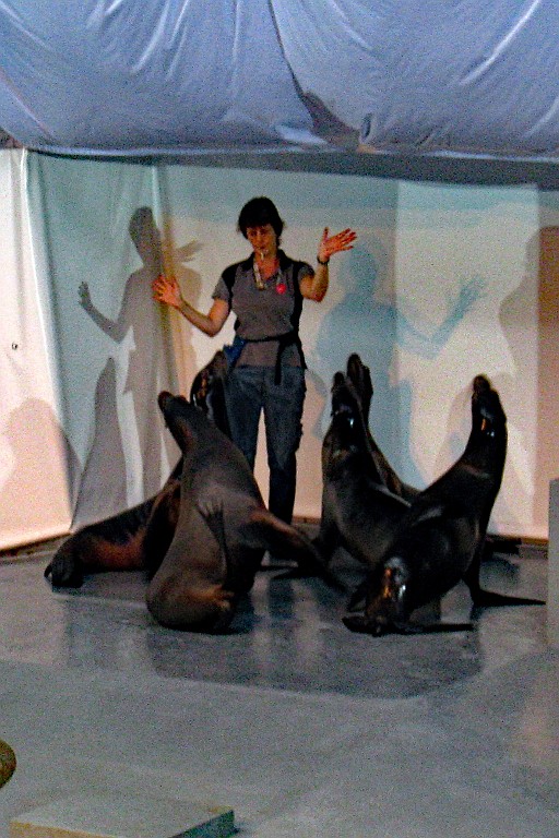 Zoo06.JPG