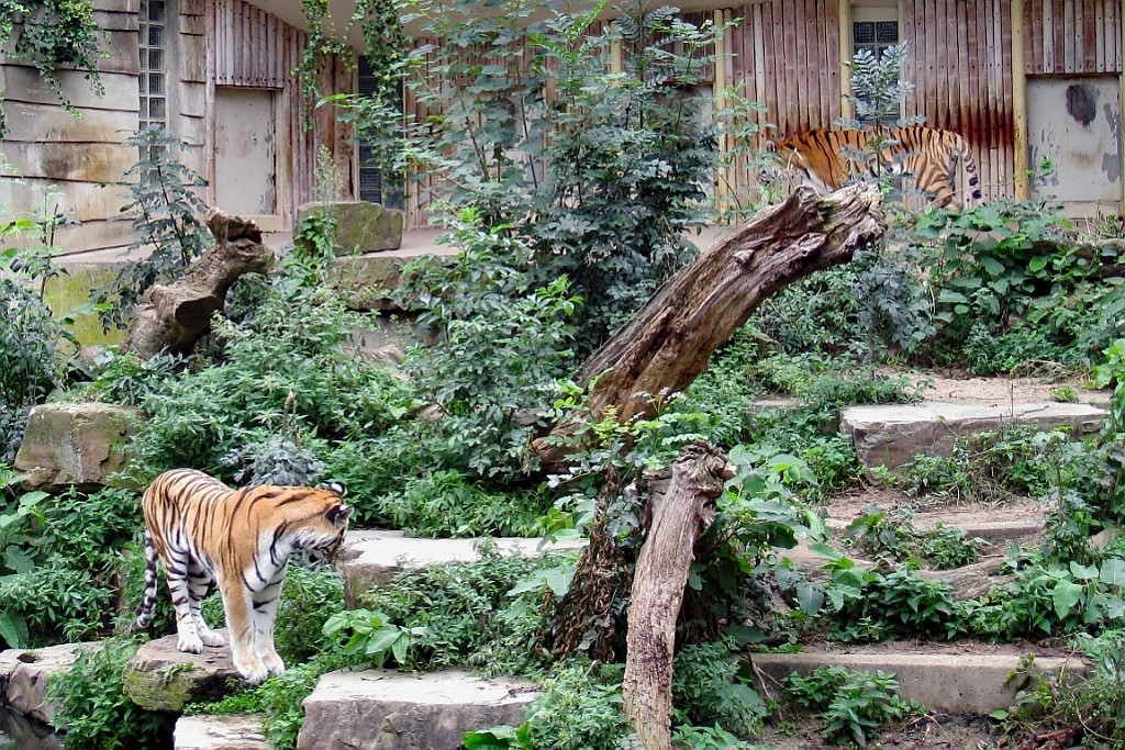 Zoo08.JPG