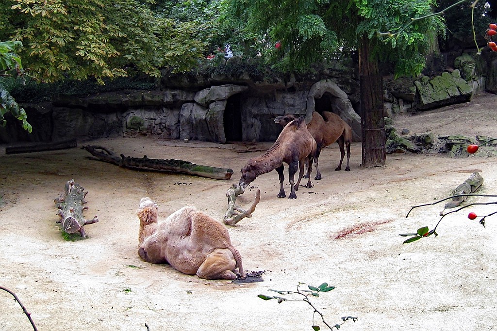 Zoo09.JPG