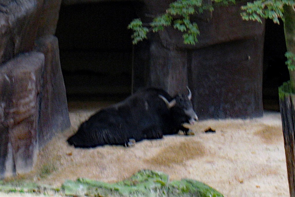Zoo10.JPG
