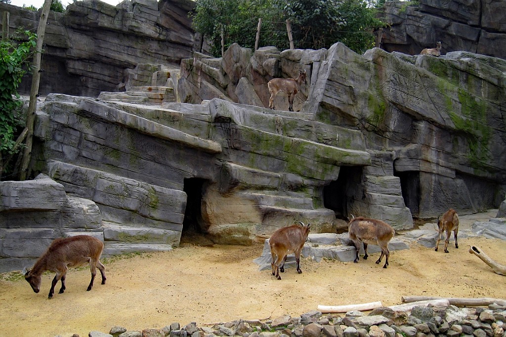 Zoo11.JPG