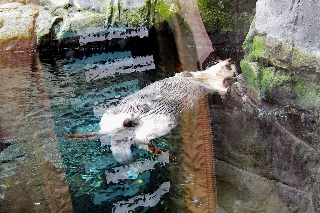 Zoo15.JPG