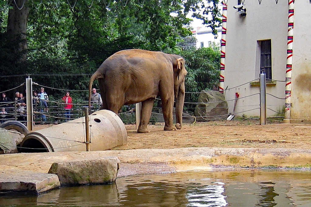 Zoo18.JPG